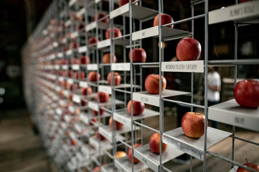 Hobart: Hastings Cave, Tahune Airwalk and Huon Tasting Trail - Key highlights worth circling