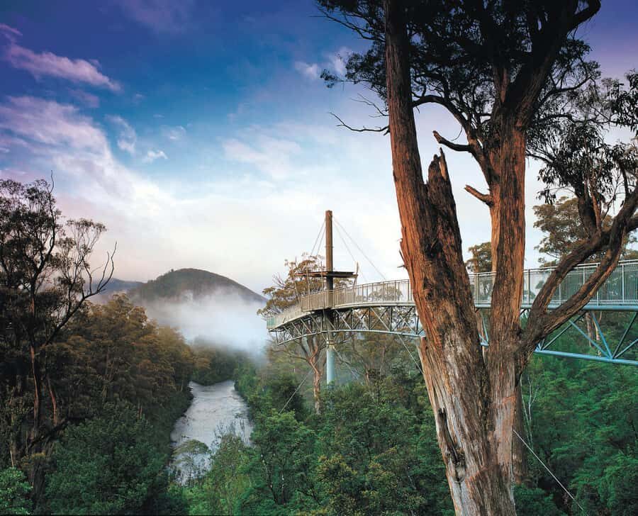 Hobart: Hastings Cave, Tahune Airwalk and Huon Tasting Trail - Tahune Airwalk: two hours above the Huon River