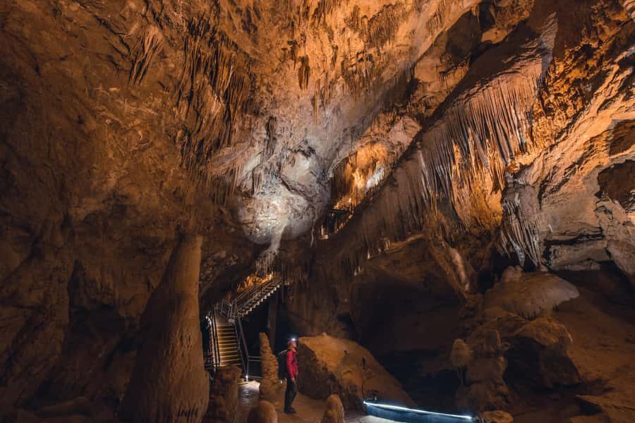 Hobart: Hastings Cave, Tahune Airwalk and Huon Tasting Trail - Price and value: what $141 gets you in real terms