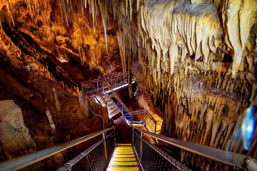 Hobart: Hastings Cave, Tahune Airwalk and Huon Tasting Trail - Getting started: Huonville coffee and the Huon Valley setup