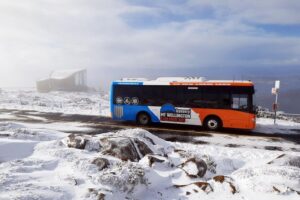 Hobart Hop-On Hop-Off Bus & kunanyi/Mt Wellington Tour - The 90-Minute Hobart City Loop: where each stop actually helps