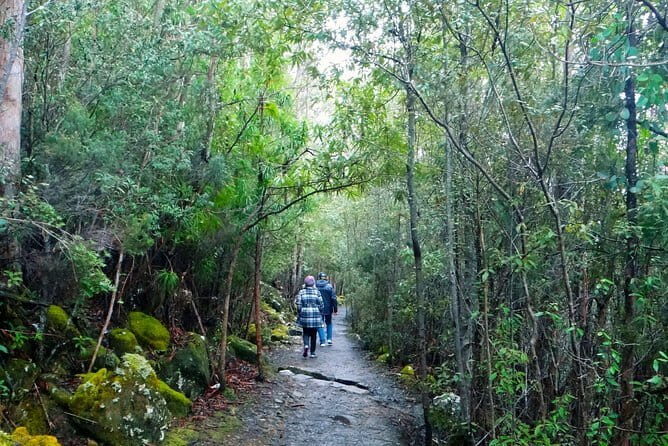 Hobart Hop-On Hop-Off Bus & kunanyi/Mt Wellington Tour - Timing tips: avoid the last-bus stress