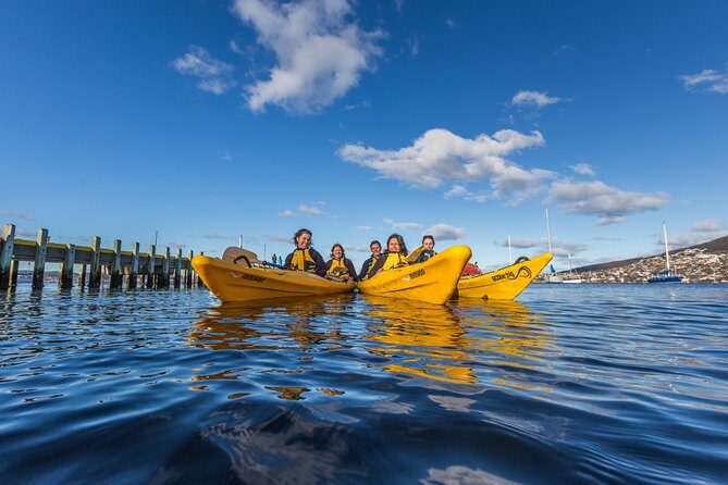 Hobart Kayak Tour - Key highlights to know before you paddle