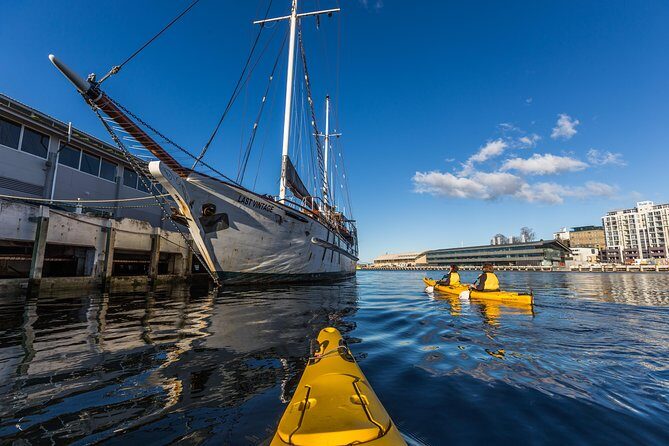 Hobart Kayak Tour - Tasman Peninsula for 10 hours: seals, dolphins, and sea eagles
