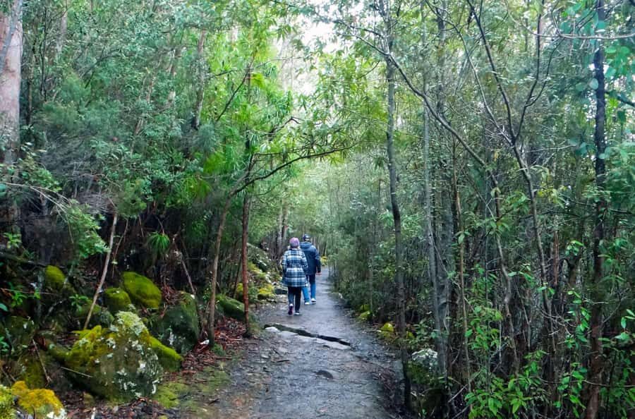 Hobart: kunanyi/Mt Wellington Explorer Bus Pass - How This Trip Feels in Real Life: Guides, Humor, and Stories