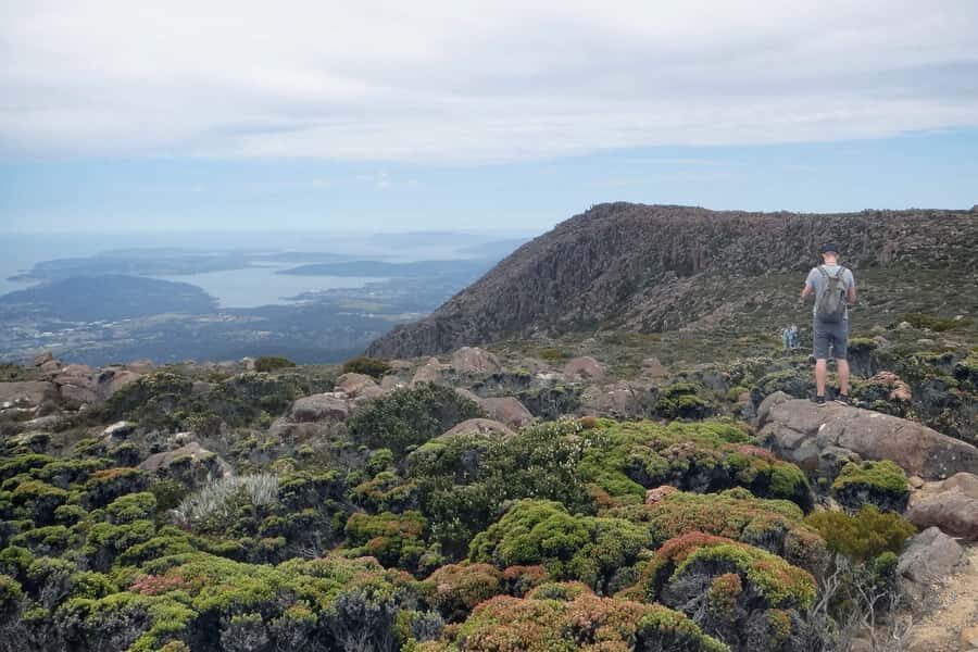 Hobart: kunanyi/Mt Wellington Explorer Bus Pass - The Summit Slot: 40 Minutes for Lookouts (and How Not to Rush)