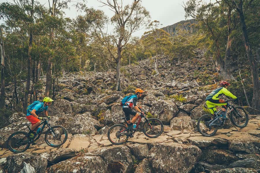 Hobart: kunanyi/Mt Wellington Explorer Bus Pass - Wheelchair Access and Getting Off Safely