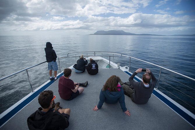 Hobart: Maria Island National Park - Nature & Wildlife Adventure - Fossil Cliffs: easy-moderate walking with a geology payoff