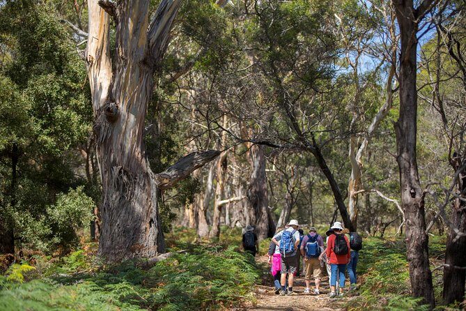Hobart: Maria Island National Park - Nature & Wildlife Adventure - Painted Cliffs and Hopground Beach: the highlight you must time right