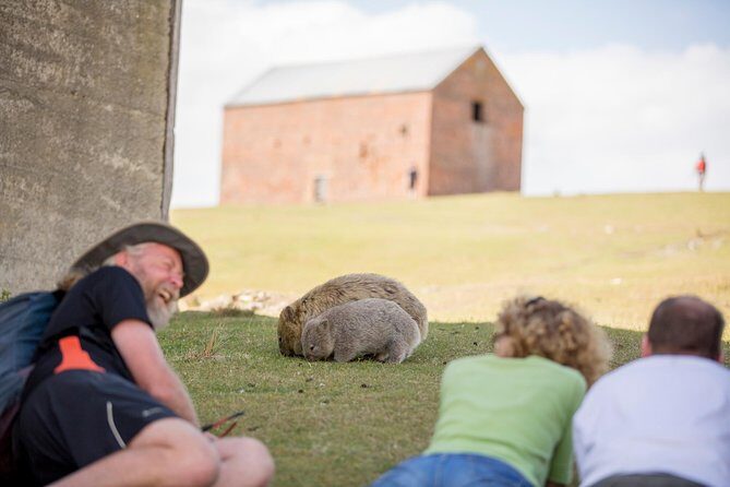 Hobart: Maria Island National Park - Nature & Wildlife Adventure - Darlington World Heritage convict site: history you can connect to the terrain