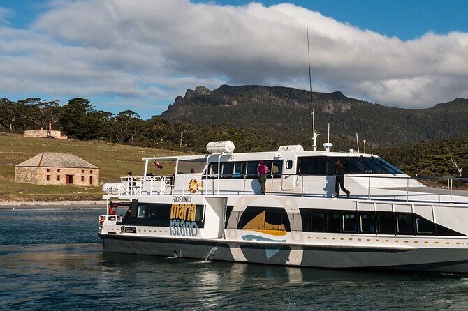 Hobart: Maria Island National Park - Nature & Wildlife Adventure - Maria Island National Park: the guided base for wildlife and history