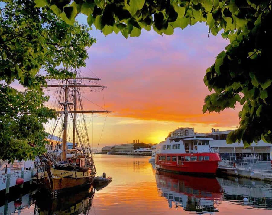 Hobart: Morning River Cruise - Key highlights you’ll actually notice
