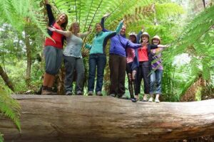 Hobart: Mt. Field, Mt Wellington & Wildlife - Active Day Tour - Tall Trees Track: walking among giant swamp gums
