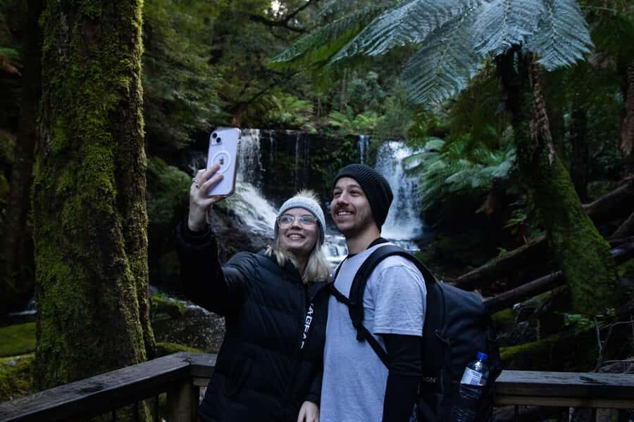Hobart: Mt Field National Park & Wildlife Shore Excursion - Price and value: is $130 worth it for this Hobart shore day?