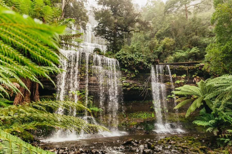 Hobart: Mt Wellington, Mt Field, Bonorong and Richmond Trip - Why this Hobart day trip packs real Tasmania into one route