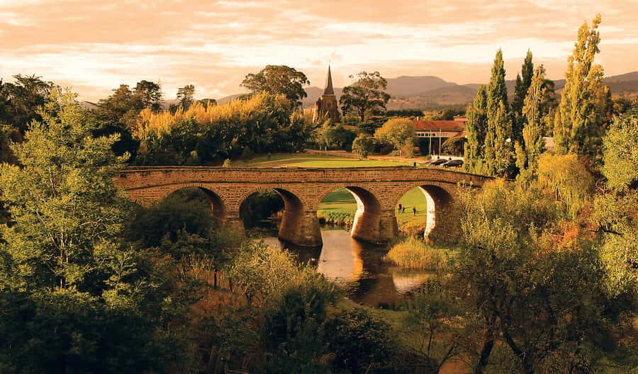 Hobart: nipaluna Half-Day Highlights Tour - Key Things That Make This Tour Worth Your Time
