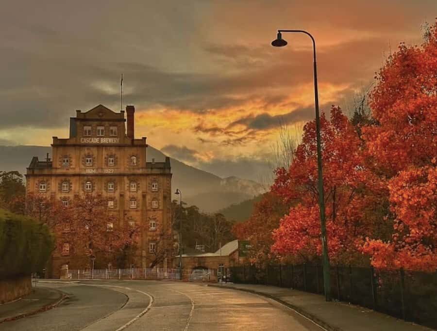 Hobart: nipaluna Half-Day Highlights Tour - Price and Value: Is $70 Worth a 5-Hour Highlights Tour?
