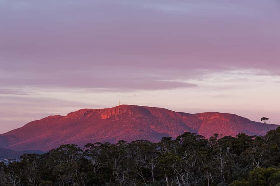 Hobart: nipaluna Half-Day Highlights Tour - Who This Tour Suits Best (and Who Should Consider Alternatives)