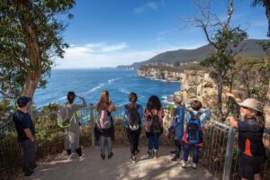 Hobart: Port Arthur, Richmond & Tassie Devil - Active Tour - Tasmanian Devil Unzoo: feeding time, animal handling, and what to watch for