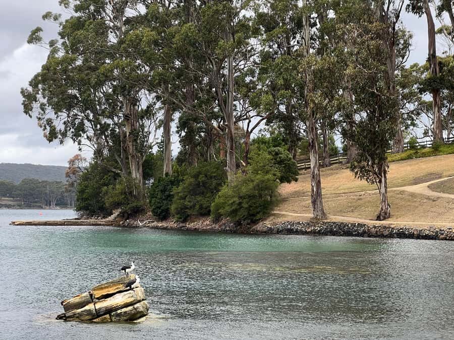 Hobart: Port Arthur & Tasman Park Full-Day Trip with Cruise - Who This Full-Day Port Arthur and Tasman Park Trip Fits Best