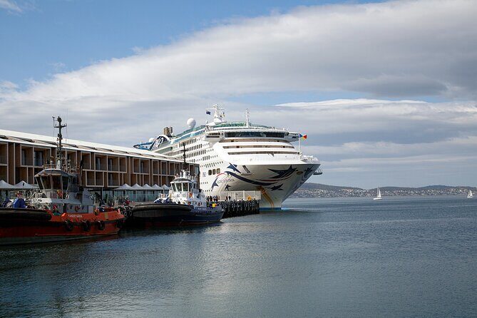 Hobart Shore Excursion: Bonorong Bus - How the 90-minute pickup keeps your cruise day on track