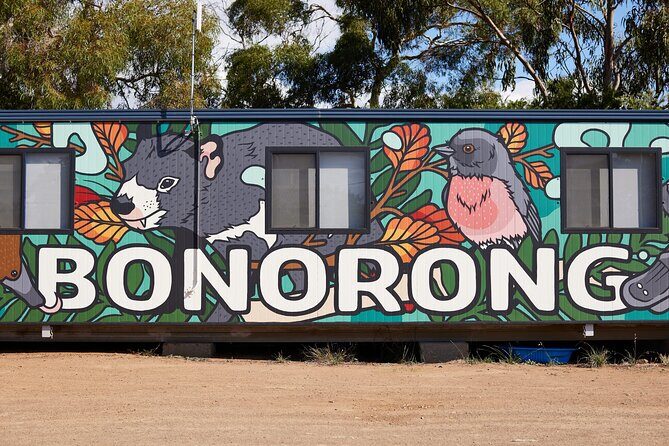 Hobart Shore Excursion: Bonorong Bus - The Bonorong window: nearly two hours with kangaroos and keepers