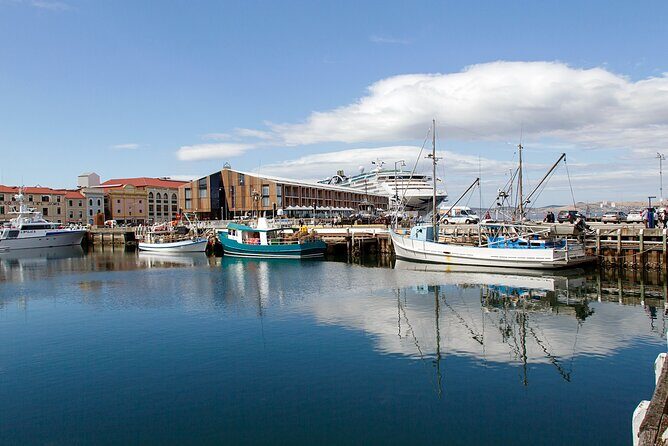 Hobart Shore Excursion: Hobart Attractions Bus - A 90-Minute Hobart Loop That Fits Cruise Timetables
