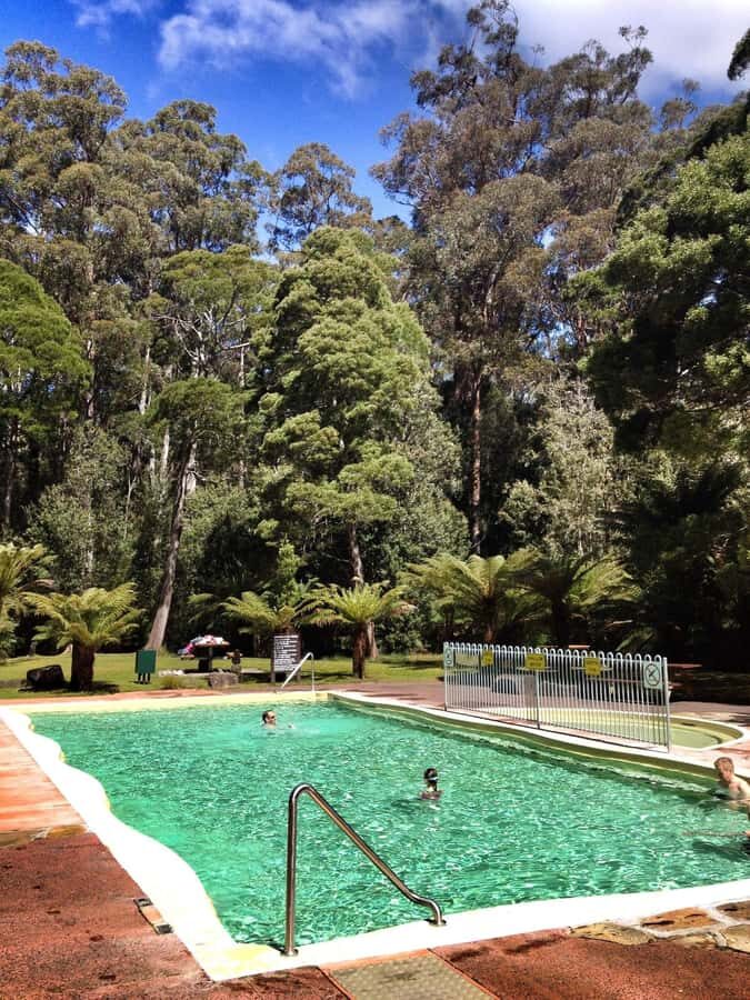 Hobart: Tahune Airwalk & Hastings Caves - Active Day Tour - Quick hits: what makes this day tour special