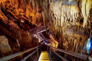 Hobart: Tahune Airwalk & Hastings Caves - Active Day Tour - The guided circuit: stairs, bridges, and photo-worthy river crossings