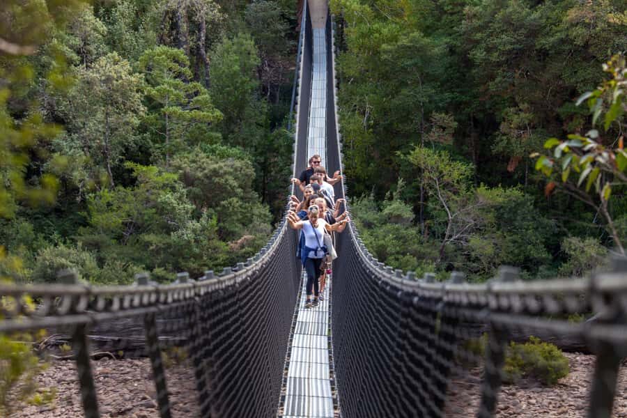 Hobart: Tahune Airwalk & Hastings Caves - Active Day Tour - Huon Pine Walk: an easy 20-minute pause with real age behind it