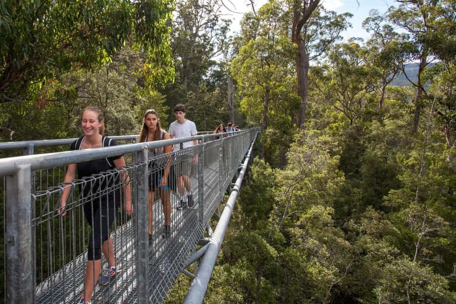 Hobart: Tahune Airwalk & Hastings Caves - Active Day Tour - Price and value: why $135 can be a fair deal for this much guided time