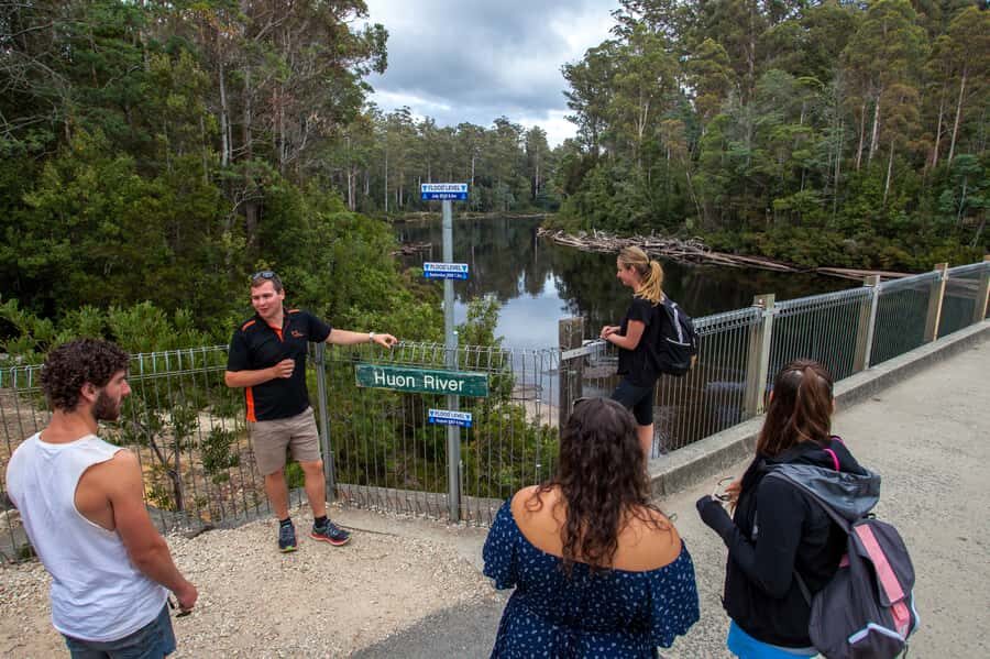 Hobart: Tahune Airwalk & Hastings Caves - Active Day Tour - What to pack (so the cold cave doesn’t ruin your mood)
