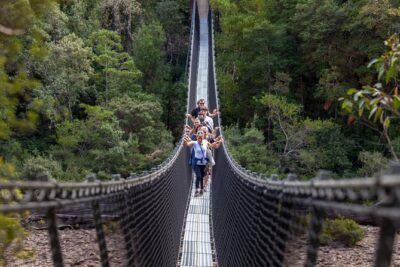 Hobart: Tahune Airwalk, Hastings Caves & Thermal Springs Pool - Geeveston and Huon Valley stops: fruit breaks that actually help the day