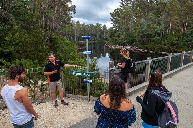 Hobart: Tahune Airwalk, Hastings Caves & Thermal Springs Pool - Thermal Springs pool and Hot Springs Nature Track: quick soak vs longer wander