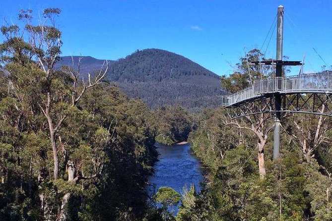 Hobart: Tahune Airwalk, Hastings Caves & Thermal Springs Pool - Platypus Walk and wildlife etiquette: spotting takes patience