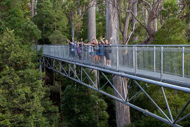 Hobart: Tahune Airwalk, Hastings Caves & Thermal Springs Pool - Getting around in a small group: the real logistics