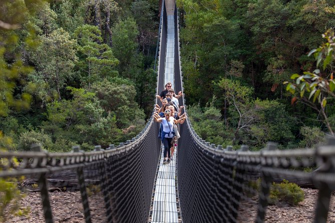 Hobart: Tahune Airwalk, Hastings Caves & Thermal Springs Pool - Geeveston and Huon Valley stops: fruit breaks that actually help the day
