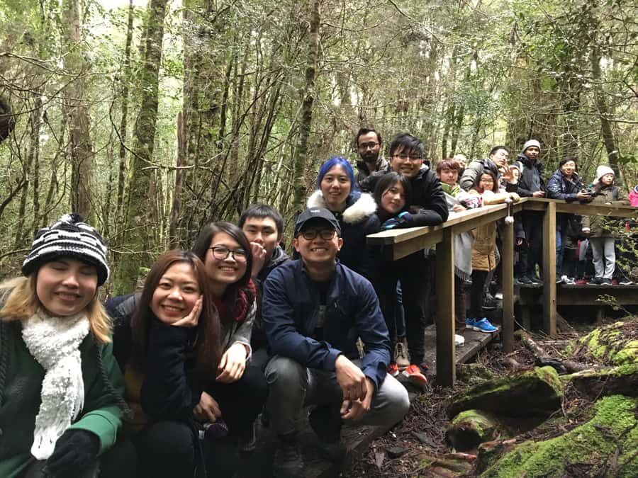 Hobart to Cradle Mountain to Launceston - Wildlife spotting: what to hope for (and how to be ready)