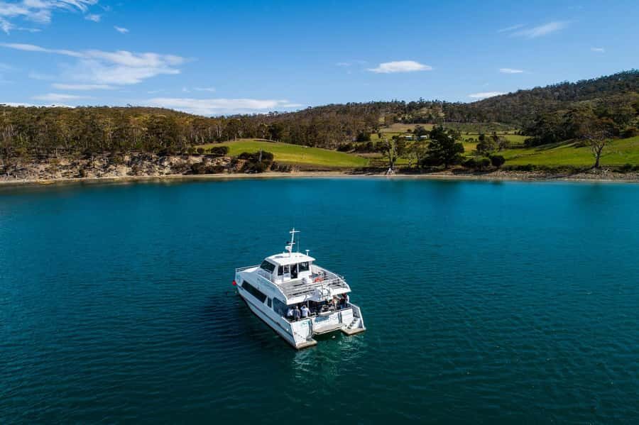 Hobart: Ultimate Seafood Cruise on a Spacious Catamaran - Key things I’d circle before you book