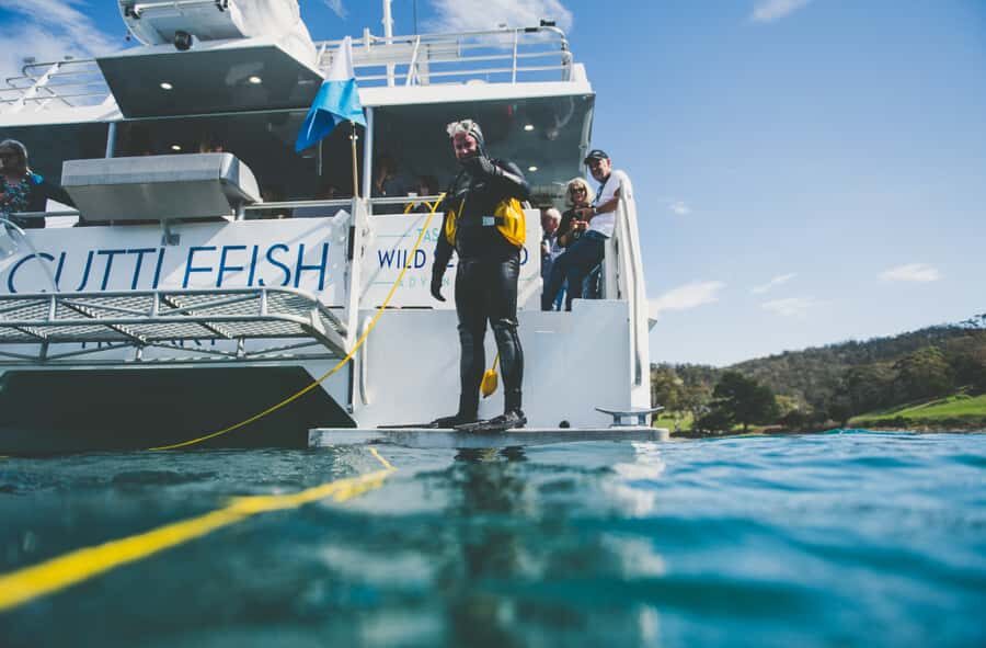 Hobart: Ultimate Seafood Cruise on a Spacious Catamaran - Getting your bearings: Hobart waterfront to the Cuttlefish catamaran