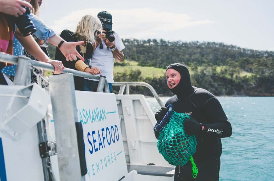 Hobart: Ultimate Seafood Cruise on a Spacious Catamaran - What you actually eat: 7 Tasmanian seafood species across 18 selections