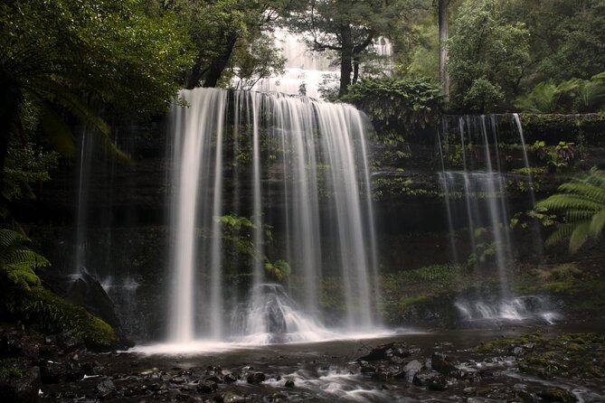 Hobart: Waterfalls, Wilderness & Wildlife - Active Day Tour - Why this Hobart day tour makes sense for first-timers