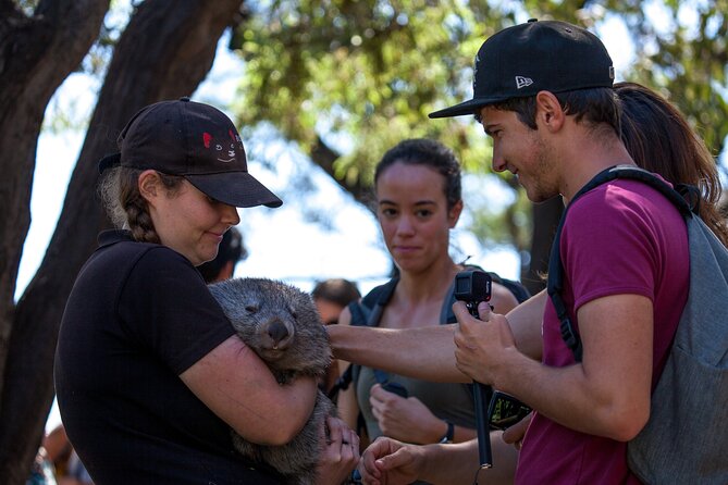 Hobart: Waterfalls, Wilderness & Wildlife - Active Day Tour - Horseshoe Falls and the stair-and-step rhythm