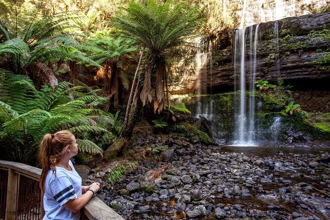 Hobart: Waterfalls, Wilderness & Wildlife - Active Day Tour - Bonorong Wildlife Sanctuary: your best chance at Tasmanian icons