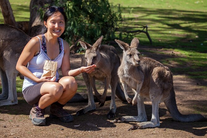 Hobart: Waterfalls, Wilderness & Wildlife - Active Day Tour - Morning pickup in Hobart: 7:30am starts and why they help