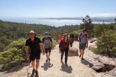 Hobart: Wineglass Bay & Freycinet National Park - Active Day Tour - Getting to Freycinet: the coastal drive and your first big views