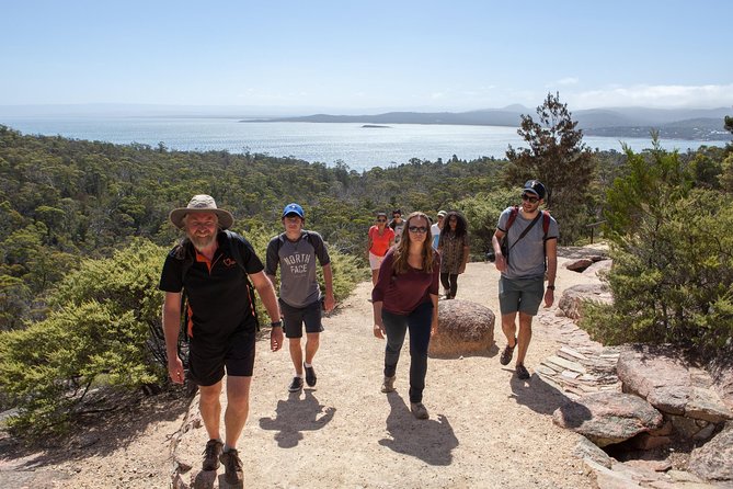 Hobart: Wineglass Bay & Freycinet National Park - Active Day Tour - Getting to Freycinet: the coastal drive and your first big views