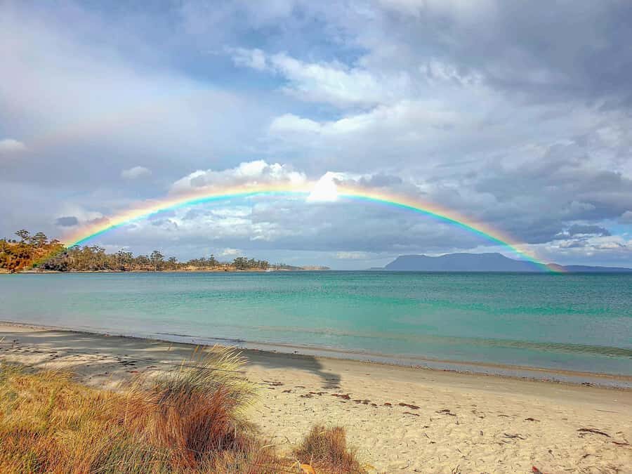 Hobart: Wineglass Bay, Freycinet Park, and Richmond Tour - Price and value: what you’re paying for at $119