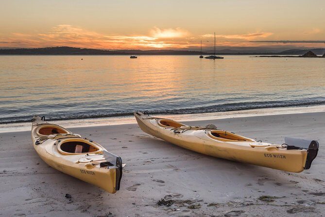 Hobart's Cliffs, Caves and Beaches Kayak Tour - Storm Bay Kayaking: Why This Hobart Day Feels Special