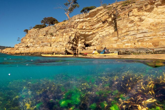 Hobart's Cliffs, Caves and Beaches Kayak Tour - Morning: Paddling Near the Alum Cliffs and Lichen-Covered Rock